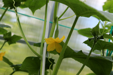 Similar image 21857690