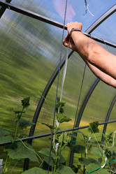 Similar image 21857692