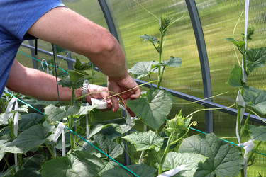 Similar image 21857693