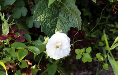 Similar image 21857694