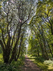 Similar image 21858773