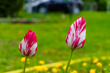 Similar image 21867354