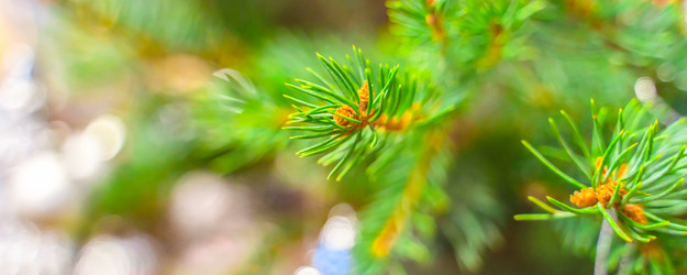 Similar image 21858776