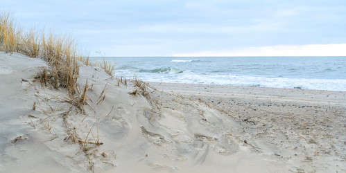 Similar image 21858777