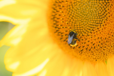 Similar image 21858778