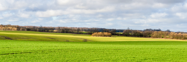 Similar image 21858783