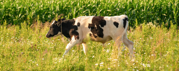 Similar image 21858784