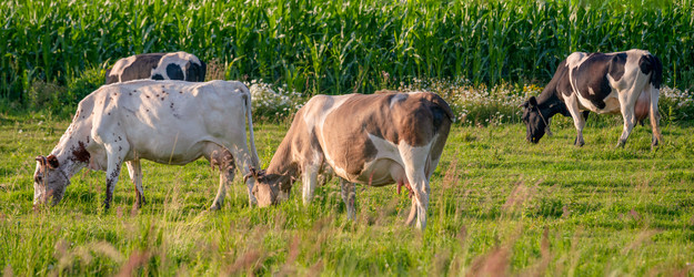 Similar image 21858785