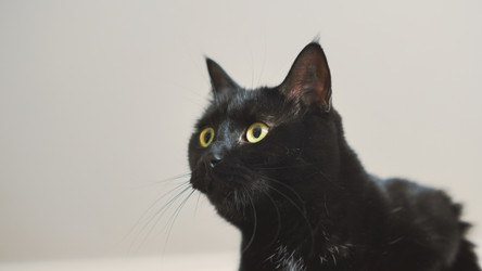 Similar image 21858794