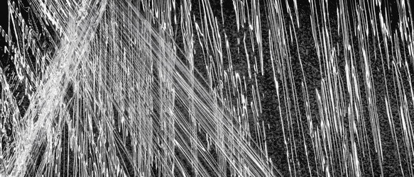 Similar image 21858796