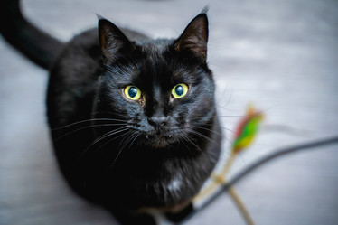 Similar image 21858798