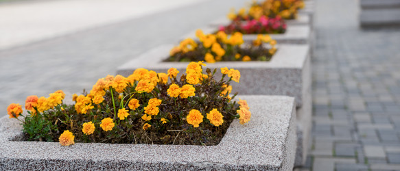 Similar image 21858799