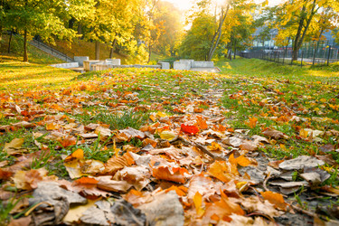 Similar image 21858803