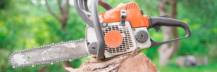 Similar image 21858804