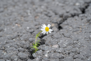 Similar image 21858809