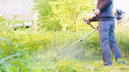 Similar image 21858810