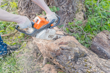 Similar image 21858811