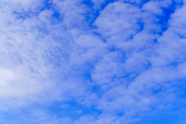 Similar image 21867356