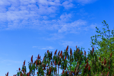 Similar image 21867357