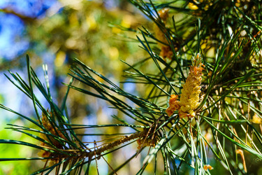 Similar image 21867361