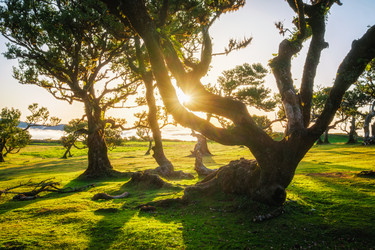 Similar image 21866356