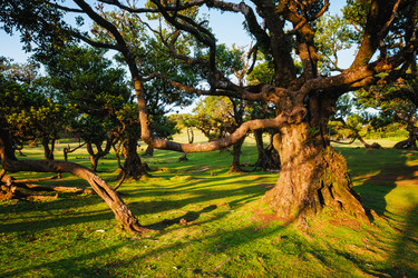 Similar image 21866359