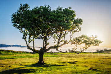 Similar image 21866381