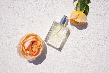 Similar image 21858824