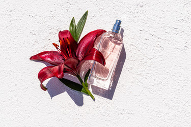 Similar image 21858825