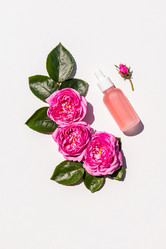 Similar image 21858830