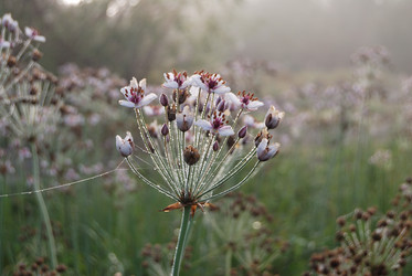 Similar image 21858432