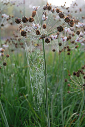 Similar image 21858433