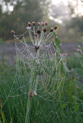 Similar image 21858436