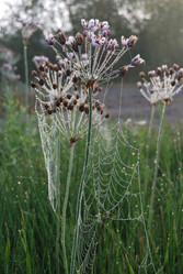 Similar image 21858437