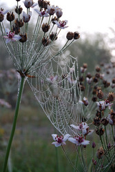 Similar image 21858438