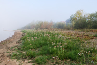 Similar image 21858439