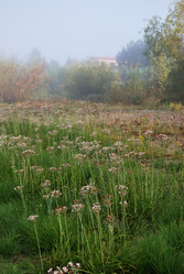 Similar image 21858441