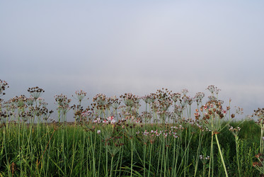 Similar image 21858443