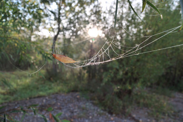 Similar image 21858444