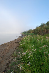 Similar image 21858448