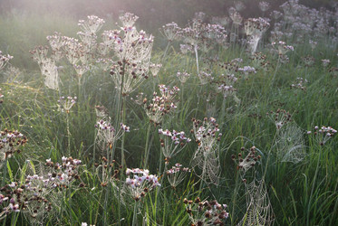 Similar image 21858452