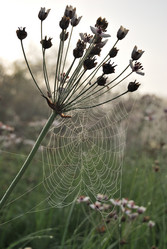 Similar image 21858453