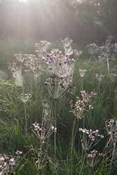 Similar image 21858454