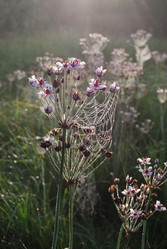 Similar image 21858455