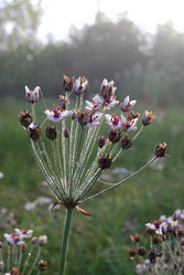 Similar image 21858456