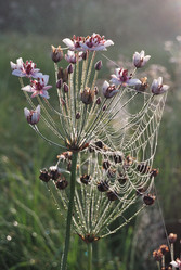 Similar image 21858457