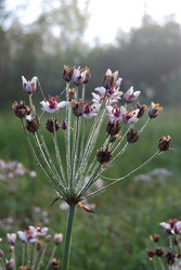 Similar image 21858458