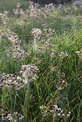 Similar image 21858463