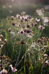 Similar image 21858464