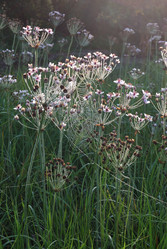 Similar image 21858465